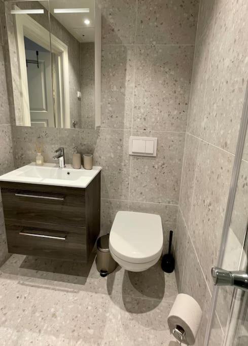 Modern And Cozy Studio Apartment In Central Осло Екстериор снимка