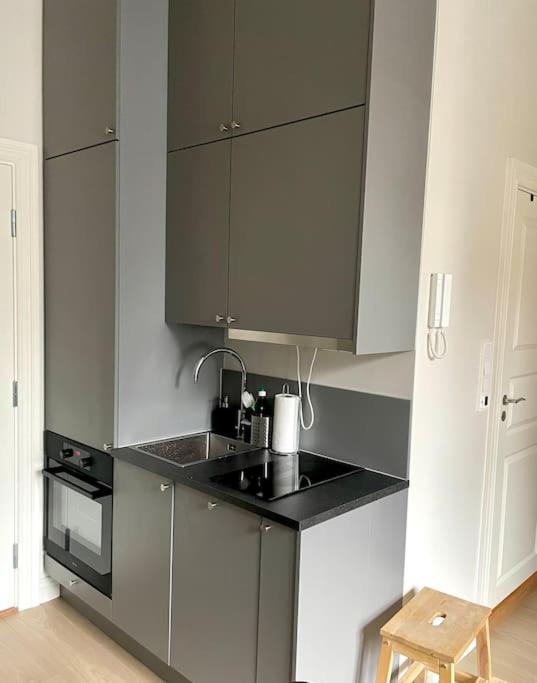 Modern And Cozy Studio Apartment In Central Осло Екстериор снимка